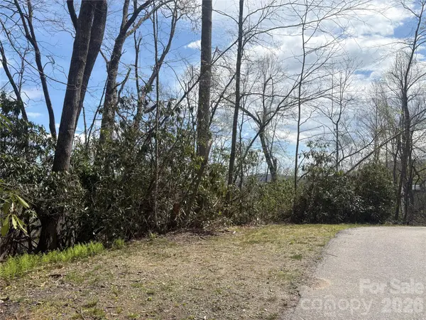 TBD Swiss Pine Lake DR #117, Spruce Pine, NC 28777