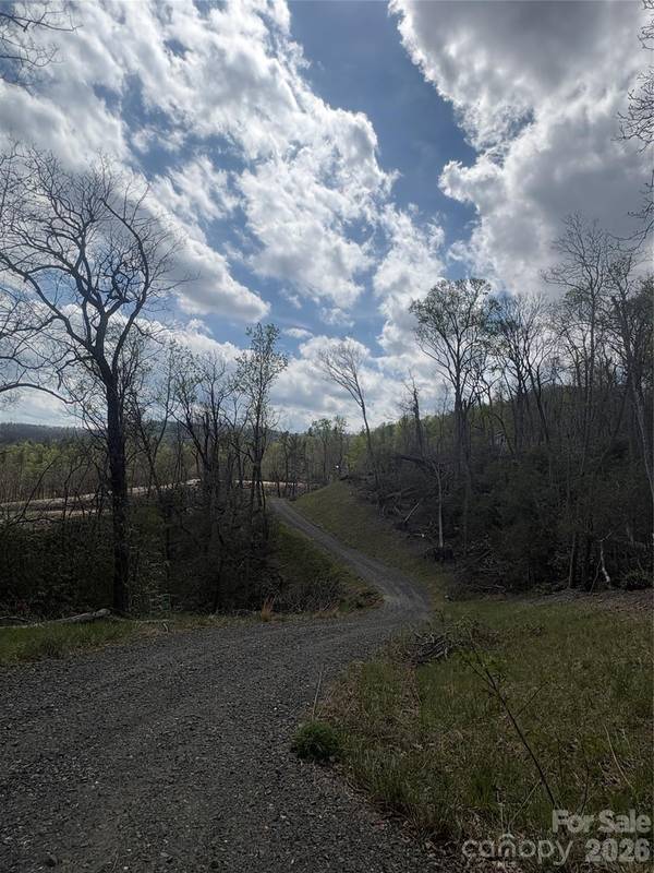 TBD Swiss Pine Lake DR #117, Spruce Pine, NC 28777