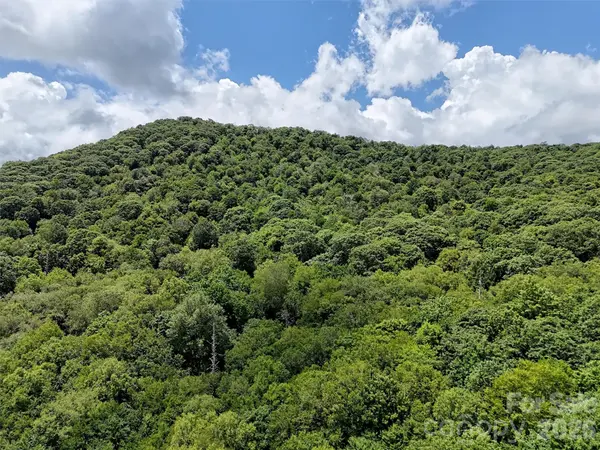 Lot #67 Spring DR, Maggie Valley, NC 28751
