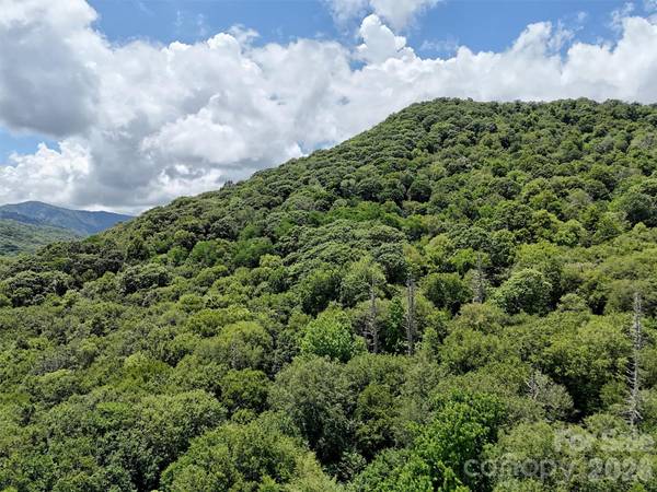 Lot #60 Yonder TRL, Maggie Valley, NC 28751