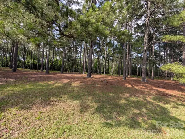 0000 Blessed Hope RD #4, York, SC 29745