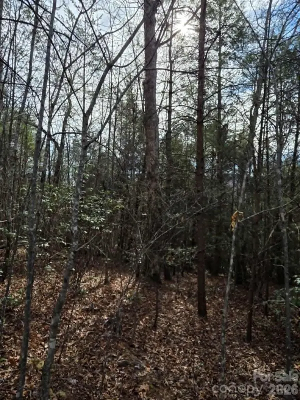 Lot 6 Kerlee LN, Old Fort, NC 28762