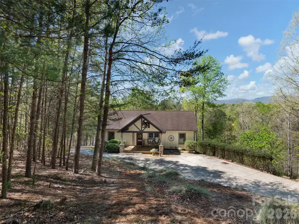 308 North Coast DR, Mill Spring, NC 28756
