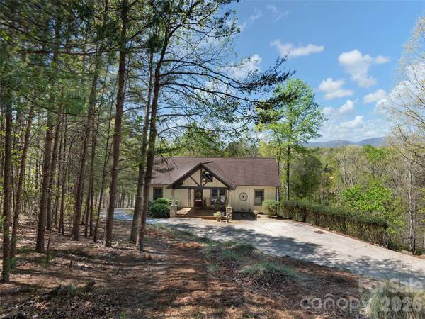 308 North Coast DR, Mill Spring, NC 28756