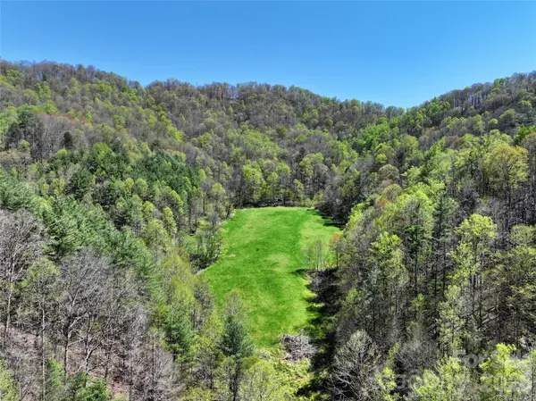 2180 Pigeon Roost RD, Green Mountain, NC 28740
