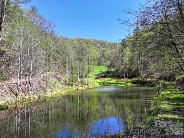 2180 Pigeon Roost RD, Green Mountain, NC 28740