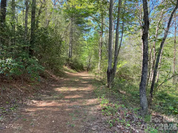 266 Mountain Creek WAY, Marion, NC 28752