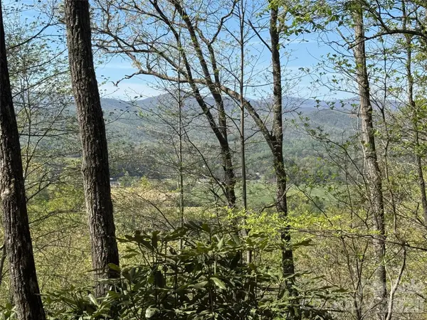 33 Reserve RD #33, Pisgah Forest, NC 28768