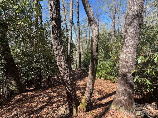 33 Reserve RD #33, Pisgah Forest, NC 28768