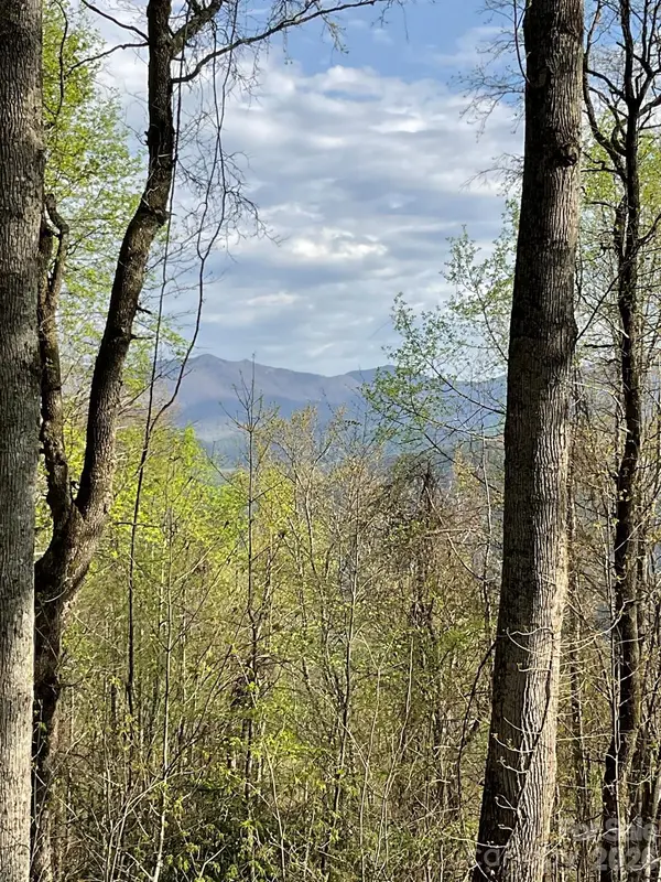 1414 Easy Wind DR #56, Swannanoa, NC 28778