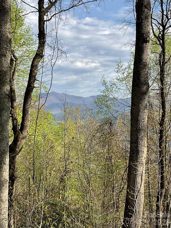 1414 Easy Wind DR #56, Swannanoa, NC 28778