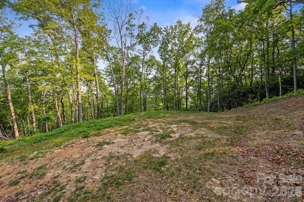 251 Paul McCoy RD, Lake Toxaway, NC 28747