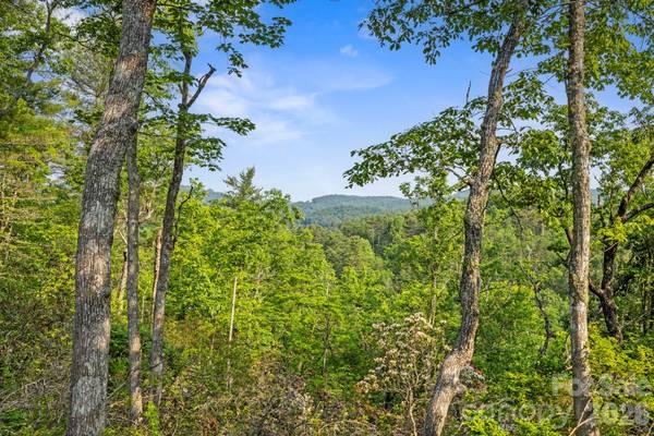 251 Paul McCoy RD, Lake Toxaway, NC 28747