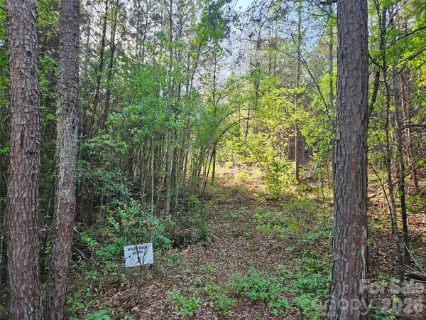 0 Old Hollis RD #2, Ellenboro, NC 28040