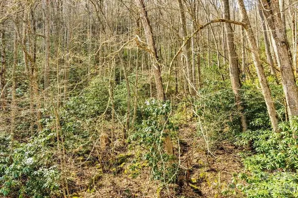 tbd Rominger RD, Sugar Grove, NC 28679
