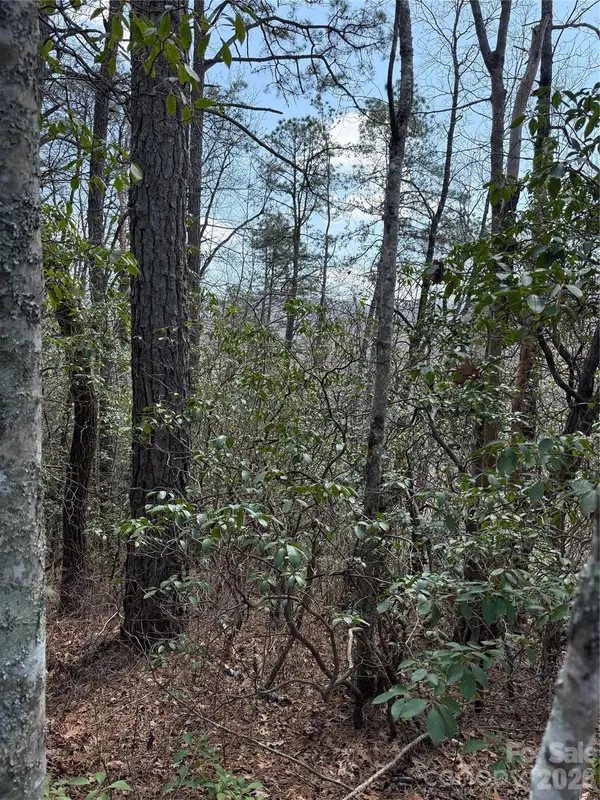 00 Line Runner Ridge RD, Rosman, NC 28722