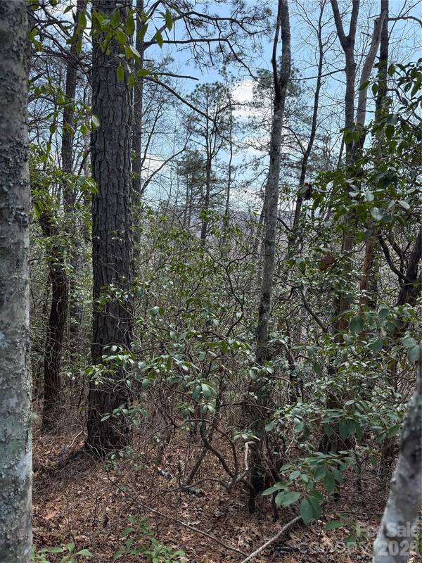 00 Line Runner Ridge RD, Rosman, NC 28722