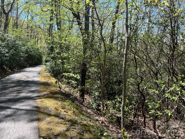 99999 Summer Haven RD, Swannanoa, NC 28778