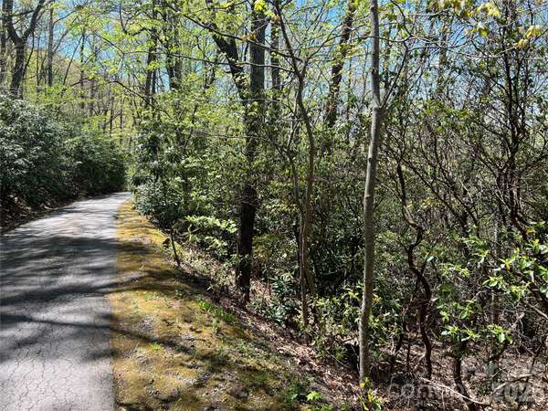 99999 Summer Haven RD, Swannanoa, NC 28778