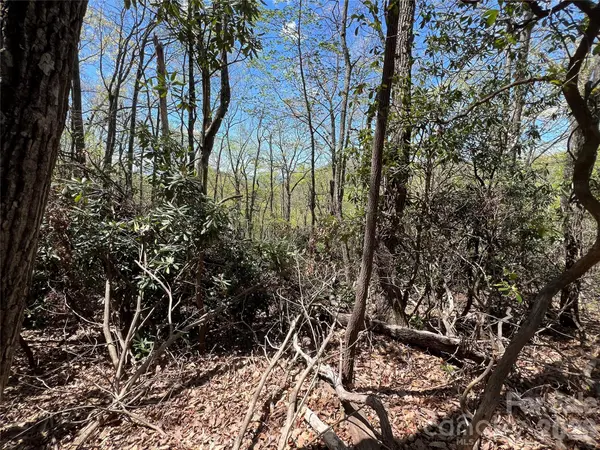 99999 Summer Haven RD, Swannanoa, NC 28778
