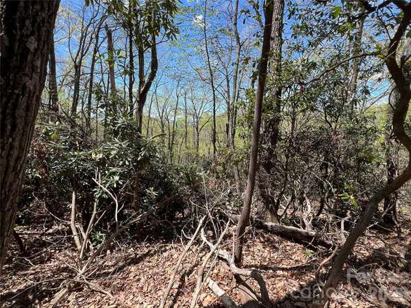 99999 Summer Haven RD, Swannanoa, NC 28778