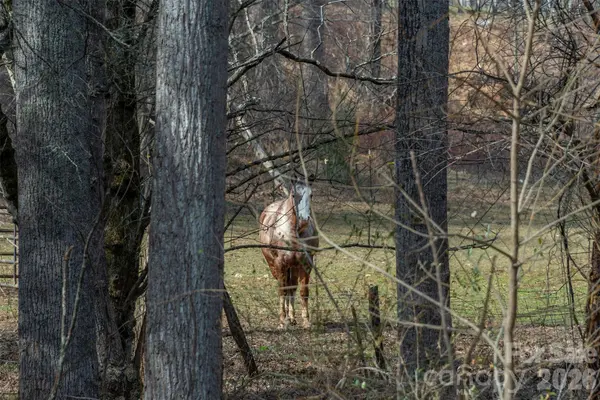 1720 Brevard RD, Arden, NC 28704