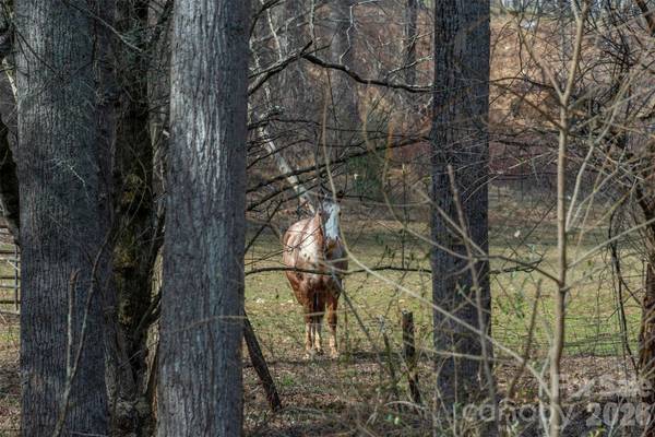 1720 Brevard RD, Arden, NC 28704