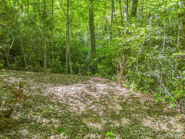 00 Lakeview DR #414/415, Tryon, NC 28782