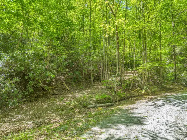 00 Lakeview DR #414/415, Tryon, NC 28782
