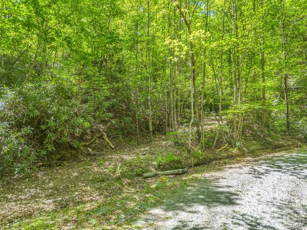 00 Lakeview DR #414/415, Tryon, NC 28782