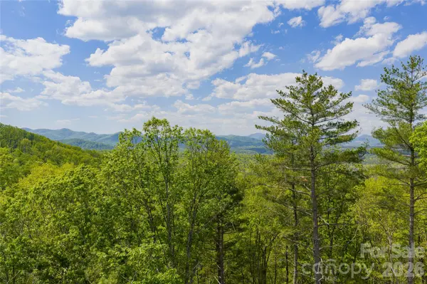693 Tea House DR #905, Asheville, NC 28803