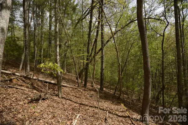 00 Garnet DR, Leicester, NC 28748