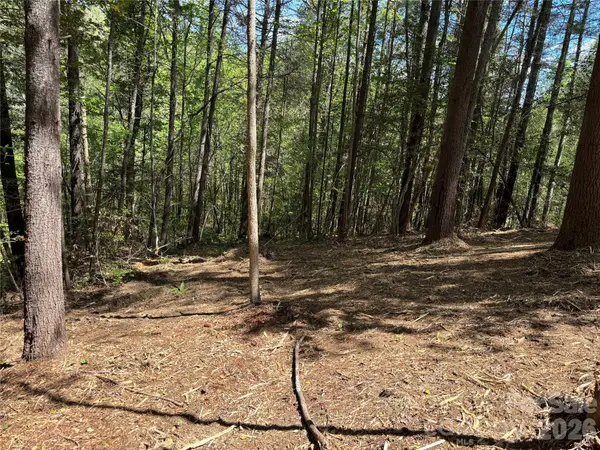 1665 Round Mountain Pkwy #69, Lenoir, NC 28645