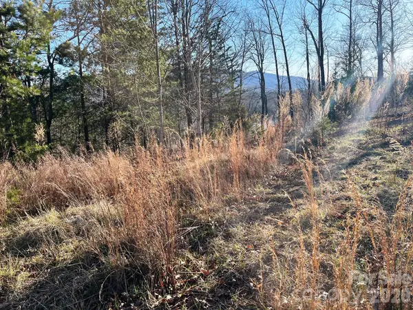 Lot 30 Mountain Pkwy, Mill Spring, NC 28756