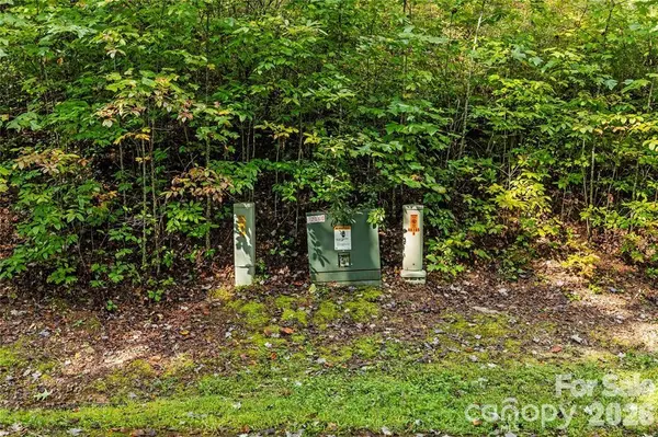 TBD Barts Branch DR #14, Balsam Grove, NC 28708
