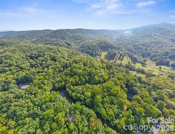 TBD Barts Branch DR #14, Balsam Grove, NC 28708
