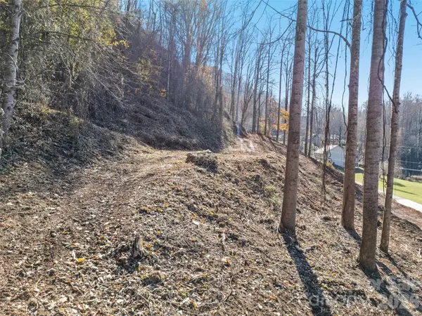 Tract 2: Lot 3 Fisher Creek RD, Sylva, NC 28779
