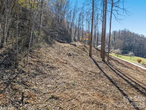 Tract 2: Lot 3 Fisher Creek RD, Sylva, NC 28779
