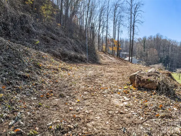 Tract 2: Lot 3 Fisher Creek RD, Sylva, NC 28779