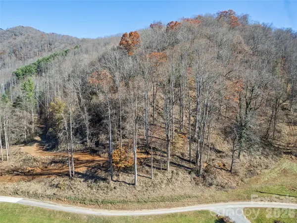 Tract 4: Lot 5 White Birch DR, Sylva, NC 28779