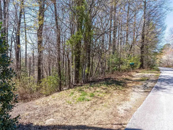 000 Glen Echo CIR, Saluda, NC 28773