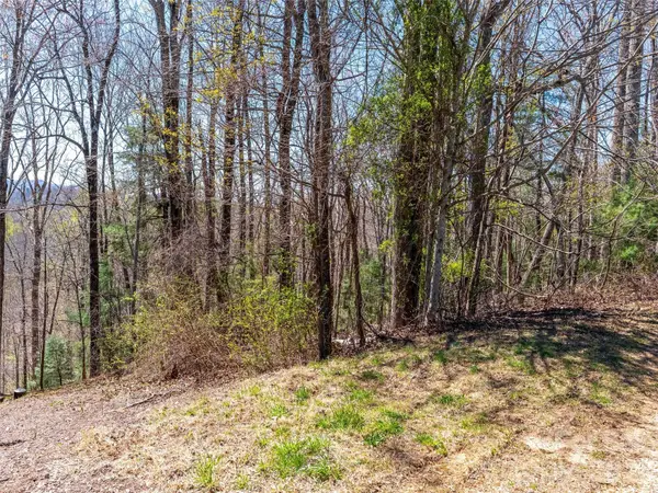 000 Glen Echo CIR, Saluda, NC 28773