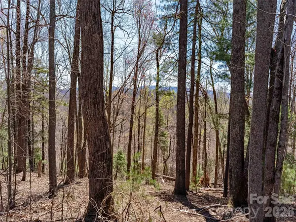 000 Glen Echo CIR, Saluda, NC 28773