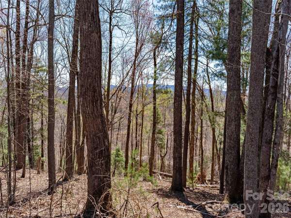 000 Glen Echo CIR, Saluda, NC 28773