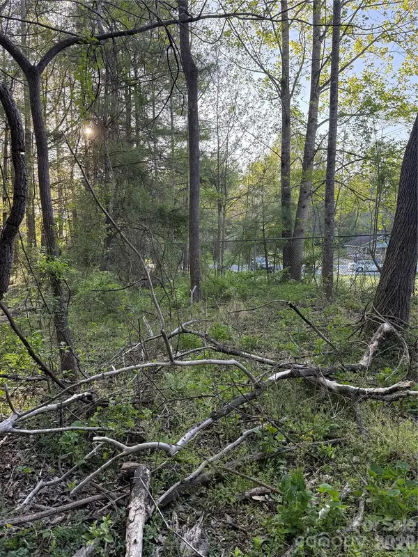 00 Cashiers Valley RD #Tract 2, Brevard, NC 28712