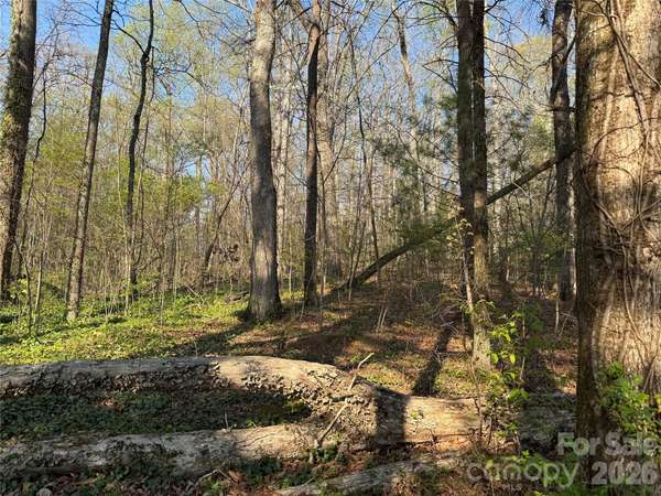 000 Woodlyn Etch DR, Hendersonville, NC 28792