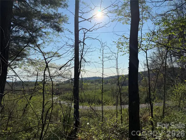 000 Woodlyn Etch DR, Hendersonville, NC 28792