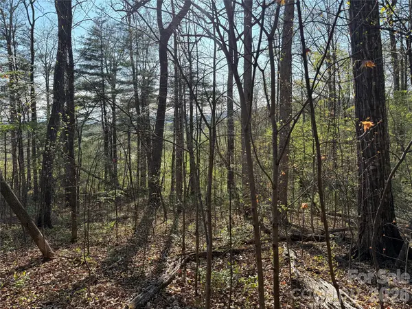 000 Woodlyn Etch DR, Hendersonville, NC 28792