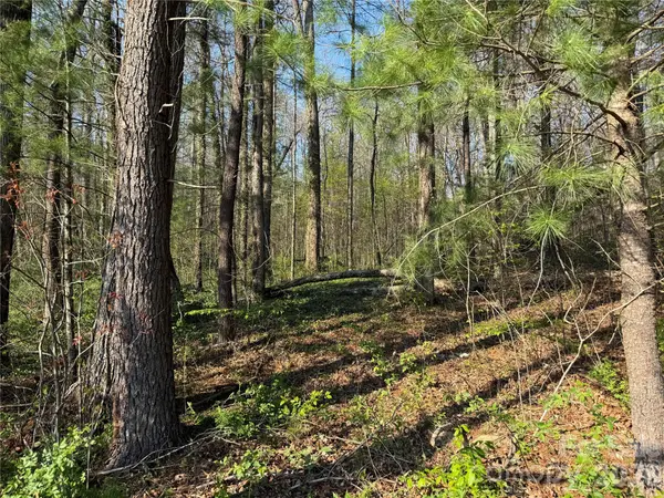 000 Woodlyn Etch DR, Hendersonville, NC 28792