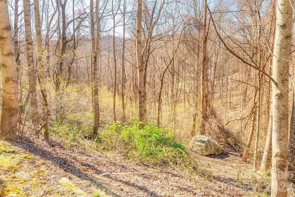 461 Somersby Pkwy, Hendersonville, NC 28739